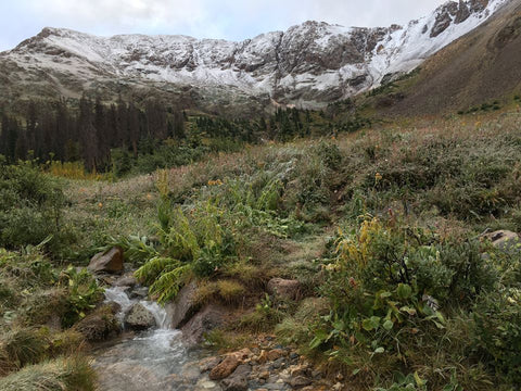 August 2016 in Chicago Basin near Durango, CO. 