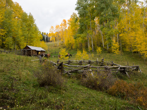 Durango Colorado Fall Colors