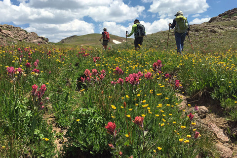 Hiking the Lime Mesa Trail to Mountain View Crest near Durango, CO